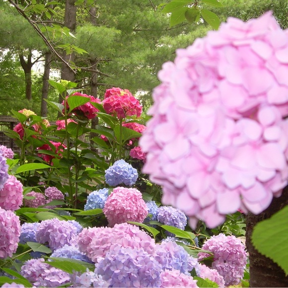 Meet your Posher, Moll - Picture 1 of 1